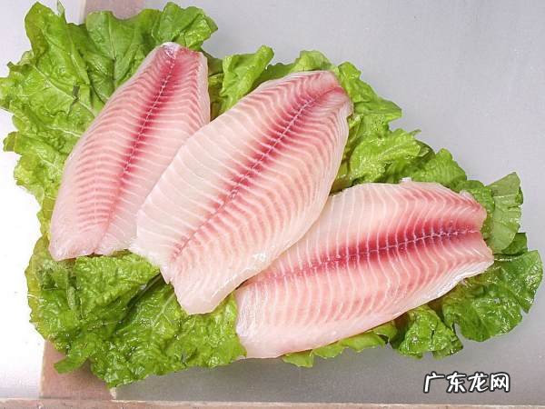 中华田园猫可以发腮,听说田园猫也发腮啦是真的