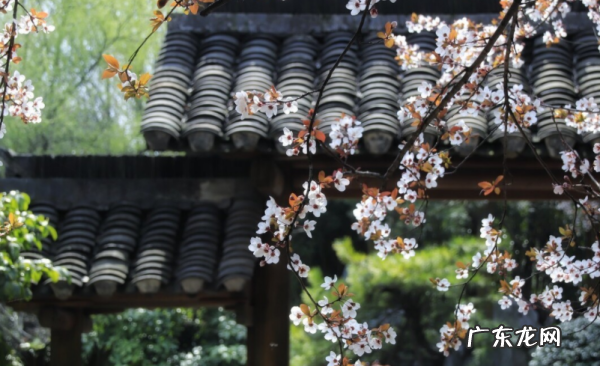 春分的由来和风俗,春分时节的由来手抄报