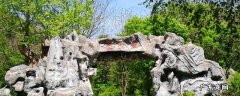 干饭盆子在哪 干饭盆在哪里