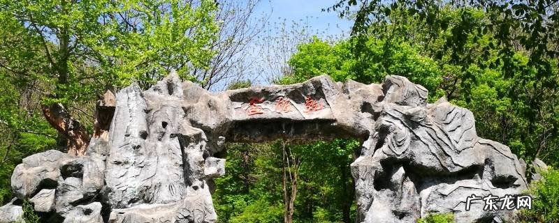干饭盆子在哪 干饭盆在哪里
