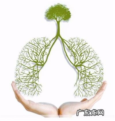 结核病的由来,3月24日是什么节