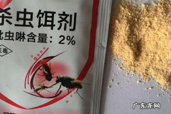 房间有蟑螂怎么办能除根,房间有蟑螂怎么办能除根家里有宝宝
