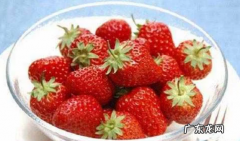 冬季草莓需要放冰箱,草莓冬天要放冰箱