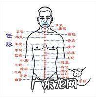 曲骨穴位的位置和作用,曲骨位置与作用和功效