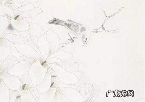 如何画白玉兰请看一下具体步骤,工笔玉兰花的画法教学