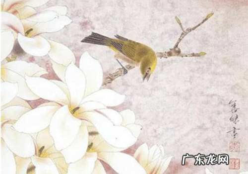 如何画白玉兰请看一下具体步骤,工笔玉兰花的画法教学