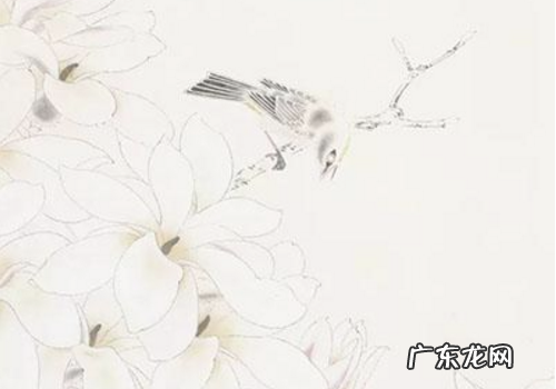 如何画白玉兰请看一下具体步骤,工笔玉兰花的画法教学