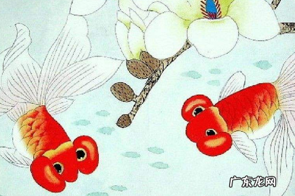 如何画白玉兰请看一下具体步骤,工笔玉兰花的画法教学