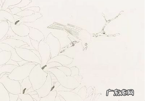 如何画白玉兰请看一下具体步骤,工笔玉兰花的画法教学