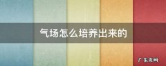 如何培养自己的气场和气势 气场怎么培养出来的