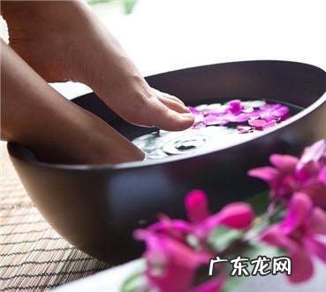 苍耳泡脚一次放几颗,像刺猬一样的中药是什么