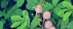 自然界中其他的生物钟有哪些 生物钟有哪些