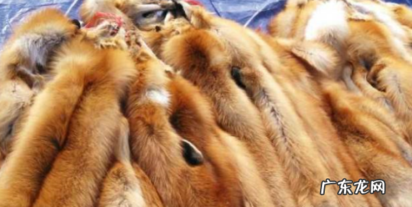 环保毛是什么毛,环保毛和真毛有什么区别