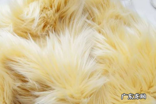 环保毛是什么毛,环保毛和真毛有什么区别