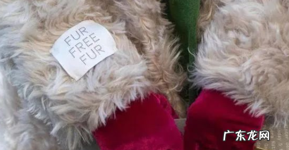 环保毛是什么毛,环保毛和真毛有什么区别