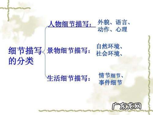 怎么区分细节描写和动作描写,细节描写和动作描写的区别