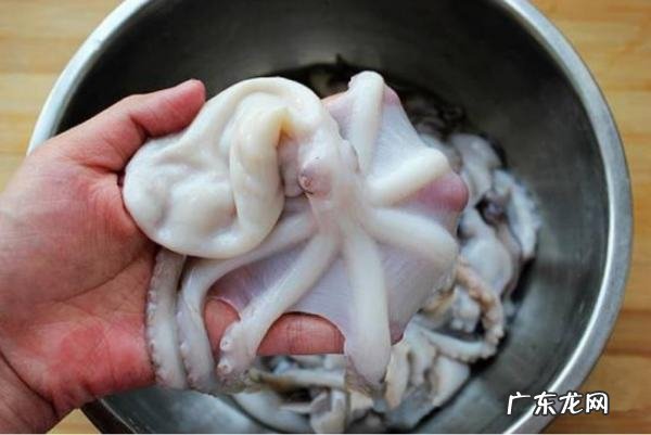 乌贼怎么处理,如何处理乌贼图解