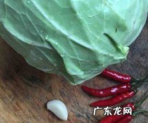 卷心菜怎么泡才又脆又酸,包菜怎么腌制成酸脆的泡菜
