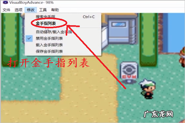 手机金手指怎么用,手机版口袋妖怪红宝石金手指怎么用的