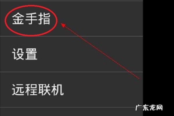 手机金手指怎么用,手机版口袋妖怪红宝石金手指怎么用的
