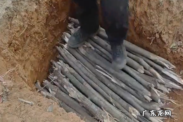 农村烧炭的窑怎么挖的,烧炭的土窑怎么建