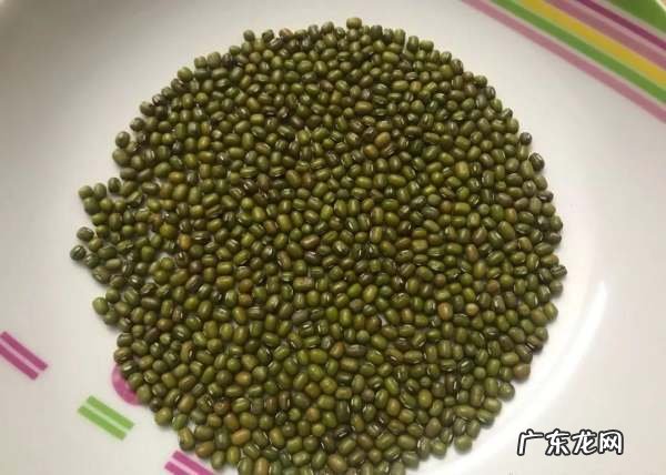 如何用矿泉水瓶发豆芽,如何用矿泉水瓶发豆芽
