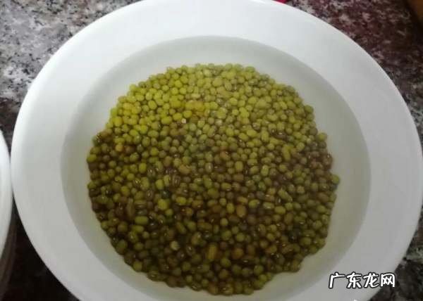 如何用矿泉水瓶发豆芽,如何用矿泉水瓶发豆芽