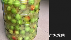 自己泡的青梅酒多少度,52度白酒泡青梅以后多少度可以喝