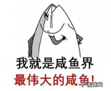 想做条咸鱼是什么意思,网络语包袱是什么意思