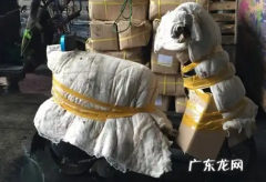 电动车怎么托运,同城电动车怎么托运最便宜