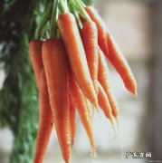 维生素a的食物来源是什么,维生素a的最佳食物来源是动物肝脏