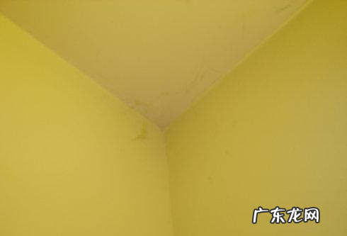 打扫天花板的工具叫什么,天花板的蜘蛛网需要清理
