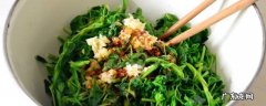 野菜苜蓿菜怎么吃 野菜苜蓿怎么吃好吃