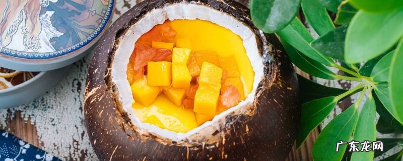 什么椰子椰肉多 椰子怎么挑选又水多和肉多