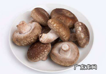 哪些是发的东西,生活中常见的标志牌有哪些