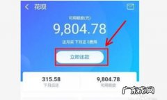 支付宝临时额度怎么还款,花呗临时额度什么时候还款