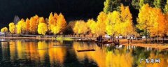 秋天是什么颜色的 秋天是什么颜色的写一段话