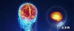 人类大脑容量是最多的,人类大脑的利用率是多少