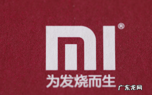 小米精灵叫什么名字,赛尔号中小米的进化受阻症什么时候好