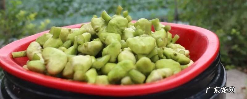 海宁特产有哪些特产 海宁特产有哪些