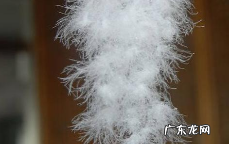 80.90白鸭绒是什么意思,国标85白鸭绒是什么意思
