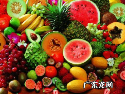 什么食品中含益生菌,富含益生菌的食物有哪些