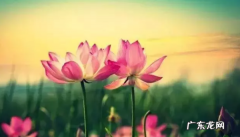 505是什么意思,水表r80是什么意思