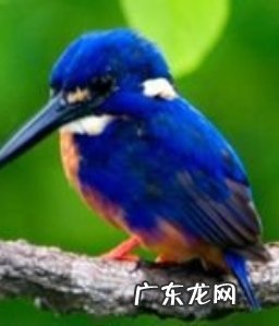 常见的蓝色东西有哪些,蓝色有哪些颜色名称