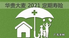 华贵大麦定期寿险到期返还,华贵大麦定期寿险是哪个保险公司