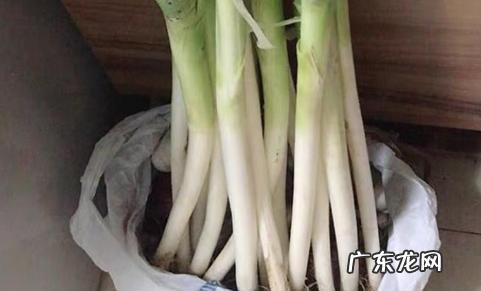 小香葱如何长期存放,新鲜小葱长期保存方法超市