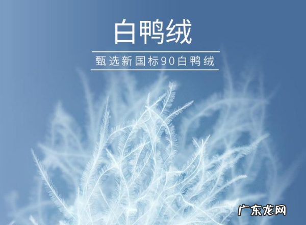down在羽绒服里是什么意思,羽绒服上的down什么意思