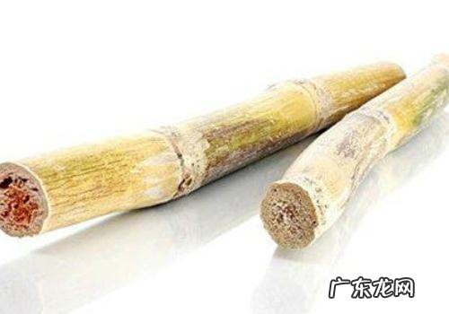 甘蔗变红砍掉后能吃,削好的甘蔗表面变红了还能吃有毒