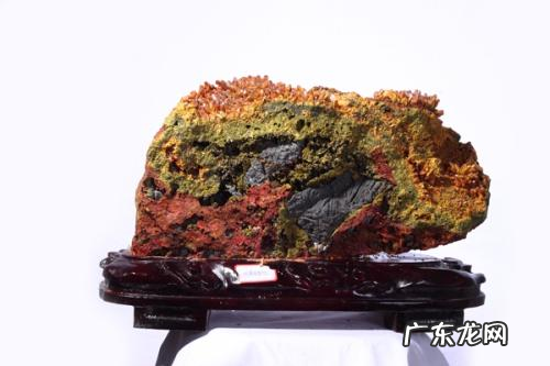 蛇为什么怕鸡冠花,鸡冠花会吸引蛇