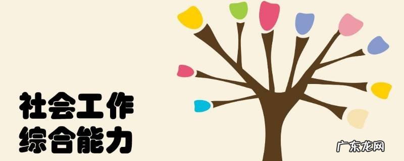 综合能力包括哪些能力 综合能力概述
